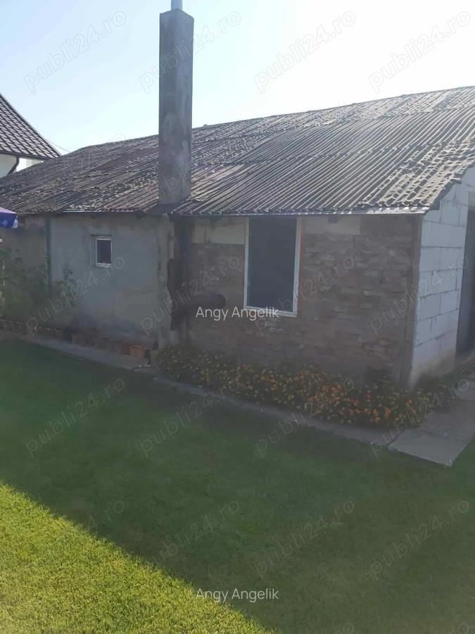 Casa pe pamant de vanzare Valu Traian - 6