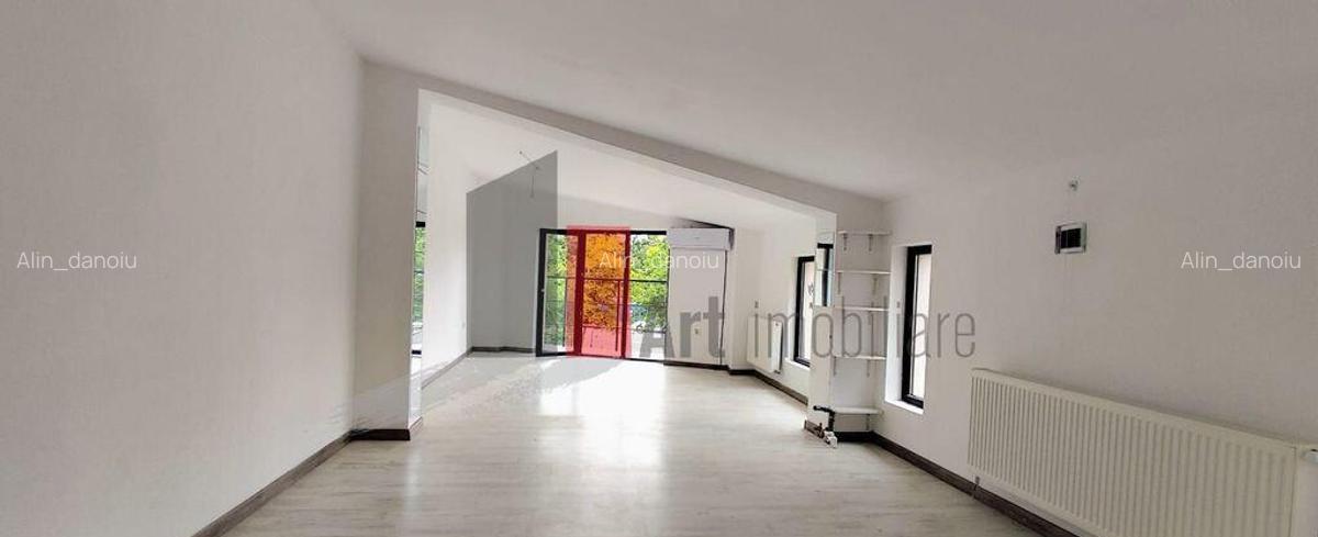 Spatiu comercial MANAHAVE*/vila cu teren de inchiriat in ... - 20