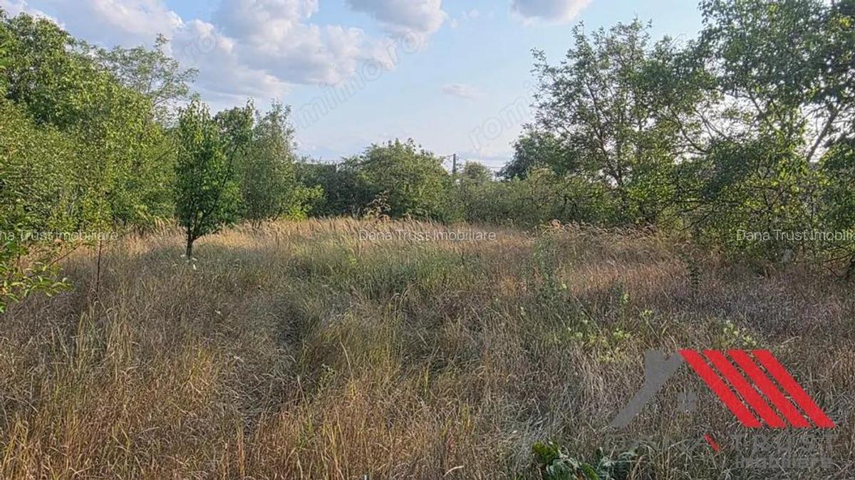 Topolova?u Mare Casa si Teren 1683 mp - 48.500 euro - 2