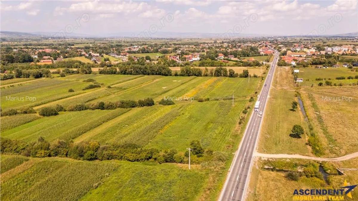 Teren extravilan Lunca Calnicului langa E574 - 17