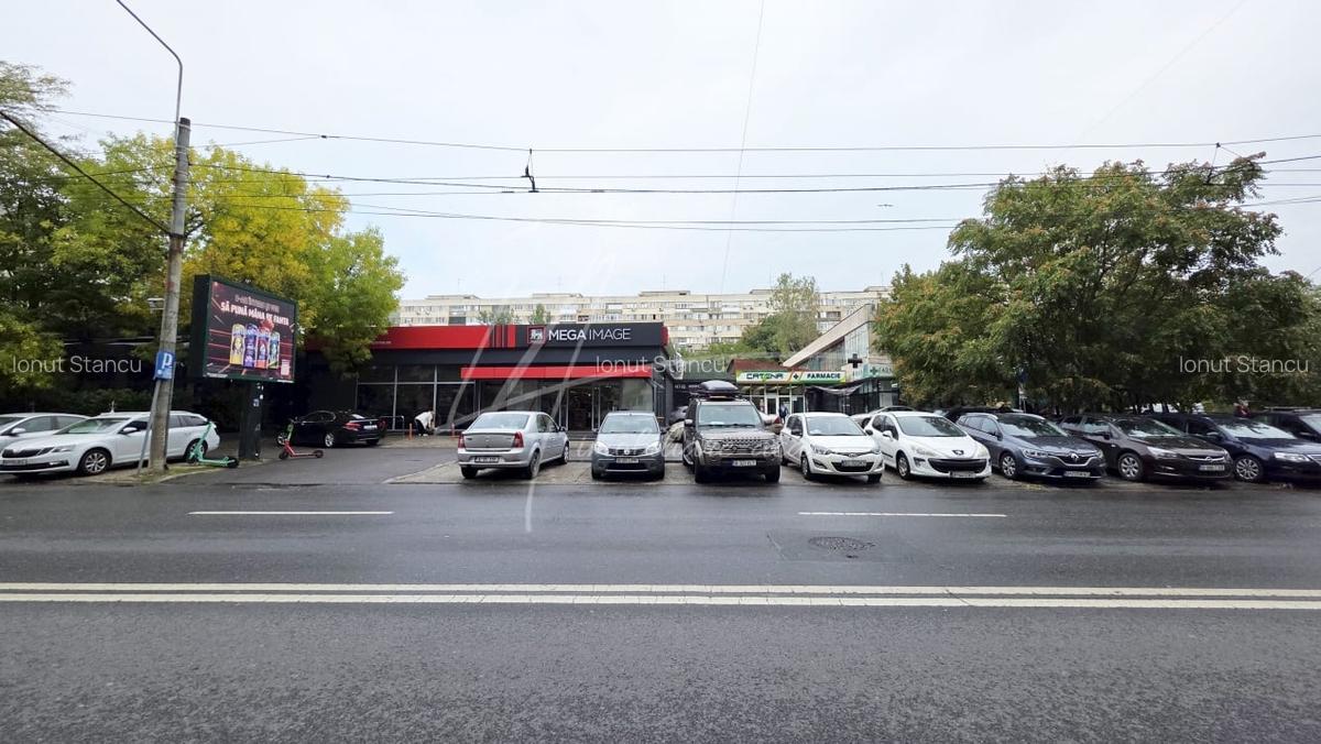 Decomandat, zona verde, pregatit pentru noua generatie - 41