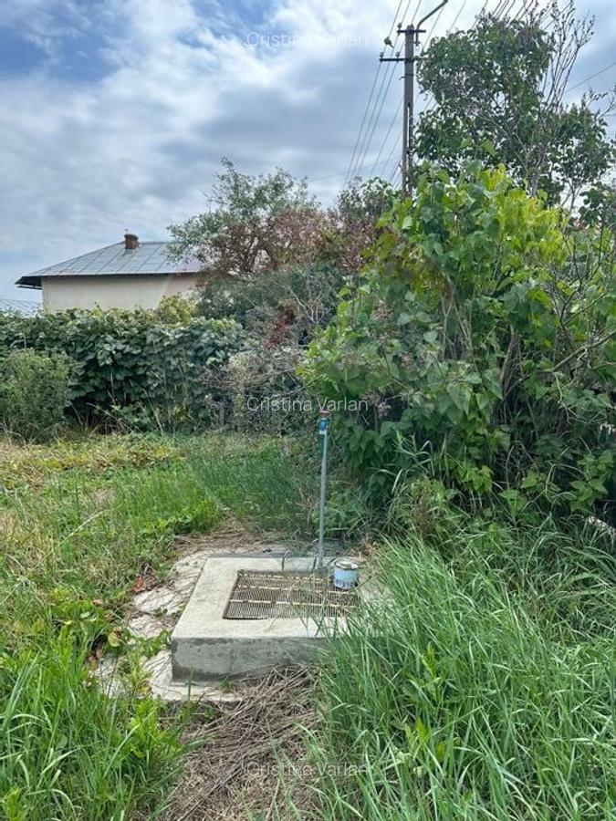 Teren intravilan 4.779 mp + casa si anexe - Girov, Neamt - 17