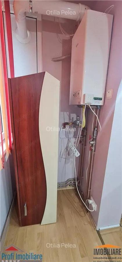 Apartament 2 camere zona Micalaca langa zona 300 - 12