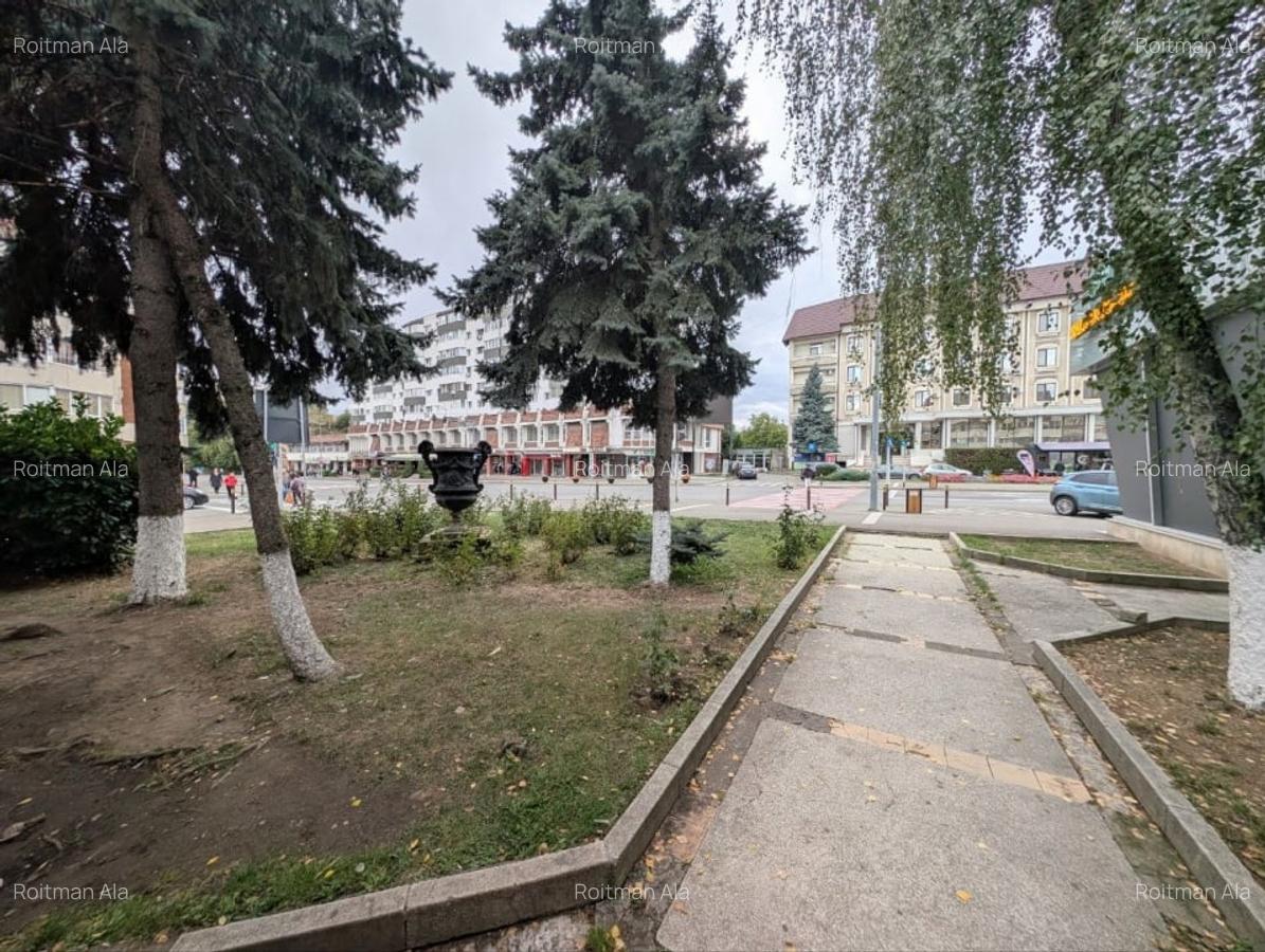 Spatiul Comercial de inchiriat -Ultracentral, Bulevardul Carol I, Campina - 2