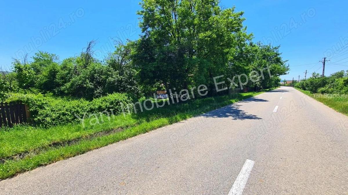 Teren de vanzare in comuna Poienarii de Arge?, sat Ceaure?ti, Jude? Arge?. - 13