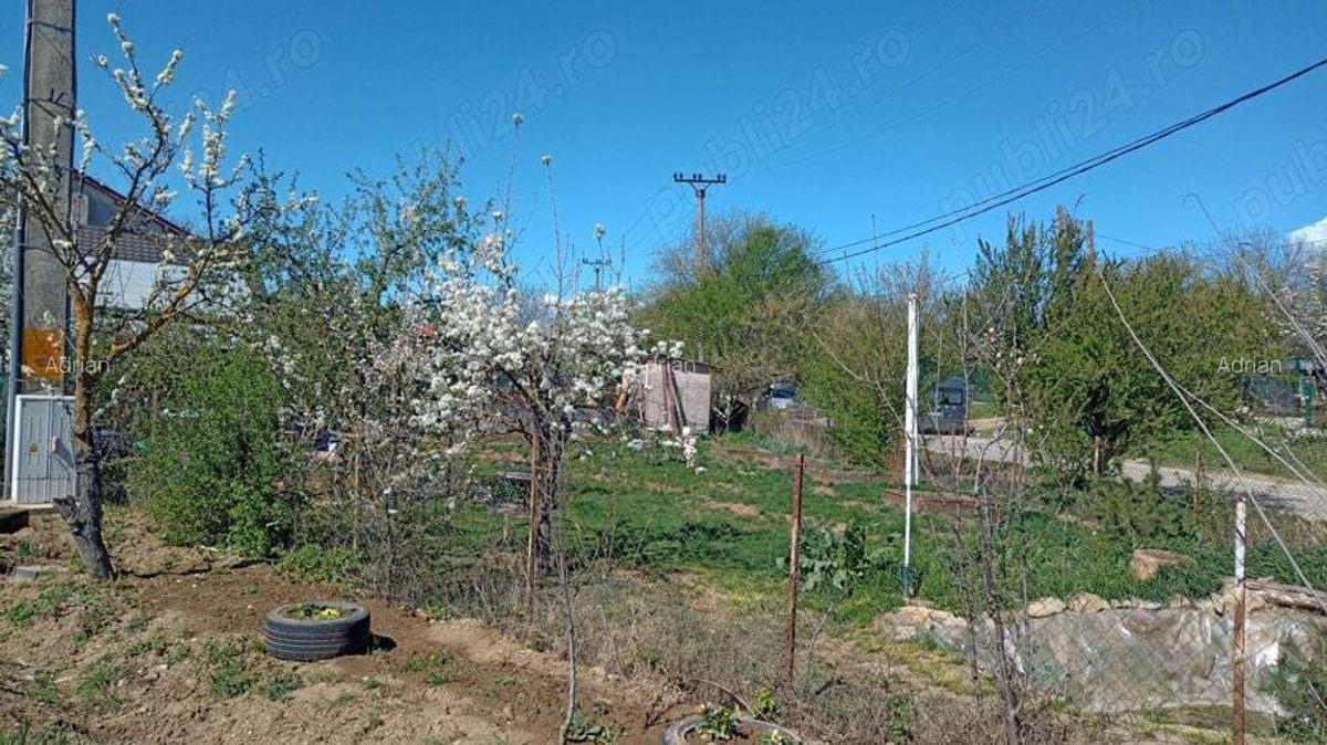 Casu?a cu teren , Ciolpani - Piscu - 2