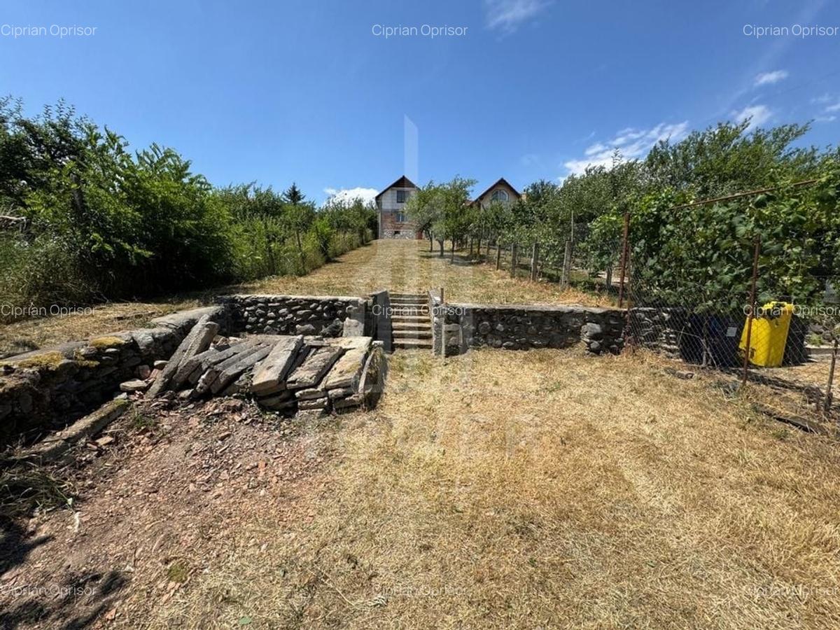 Casa cu 3 camere si teren | 111mp utili 450mp teren | Daia Noua | EXCLUSIVITATE - 3