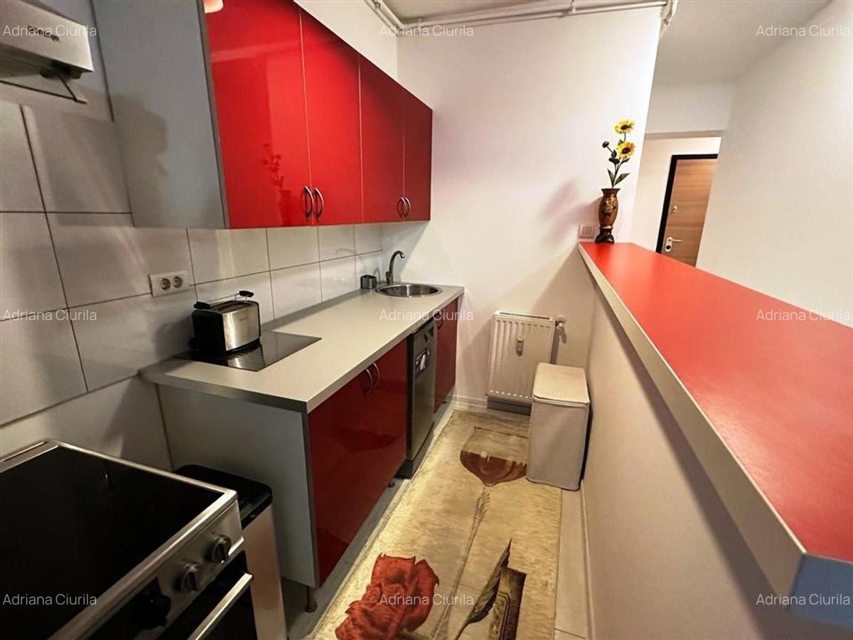 Apartament cu 2 camere decomandat, mobilat în Herăstrău - 9