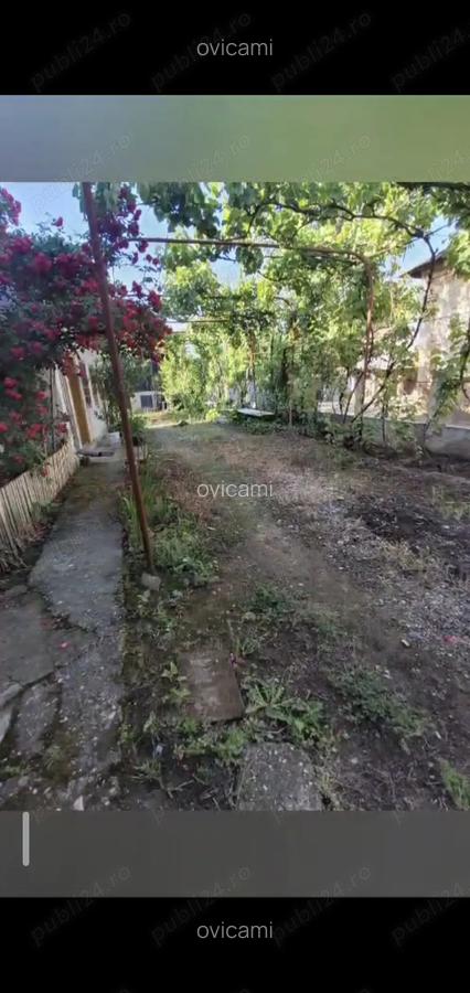 Casa centru Daneti, 80mp, curte si gradina 3.000 mp, apa + curent - 5