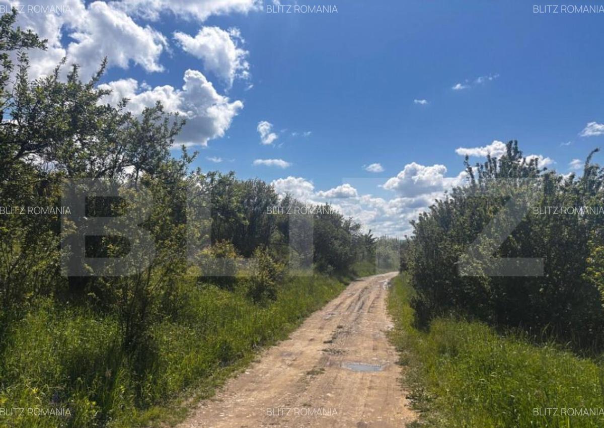 Teren extravilan de vanzare, 2500 mp, zona Valea Sigmirului - 1