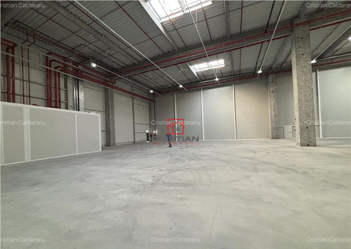 Depozit/hala/spatiu industrial Theodor Pallady - A2 - 8