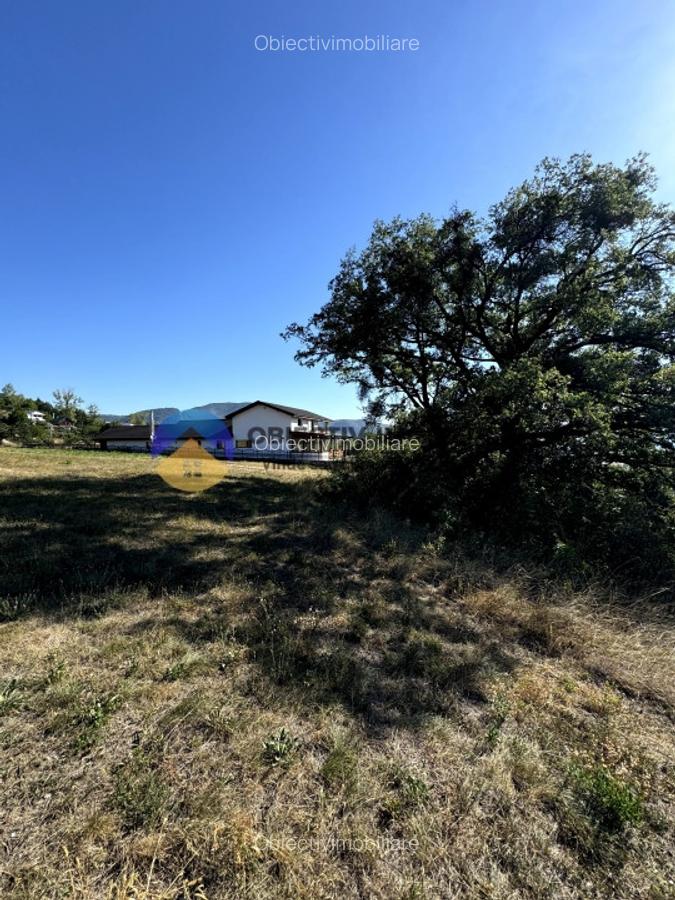 Teren comuna Alexandru cel Bun , drumul spre Bisericani - 8