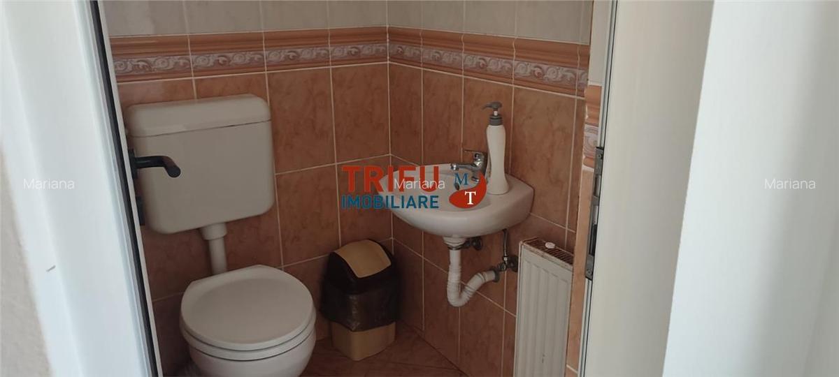 Spatiu comercial 4 camere de vanzare in Cetate - 8