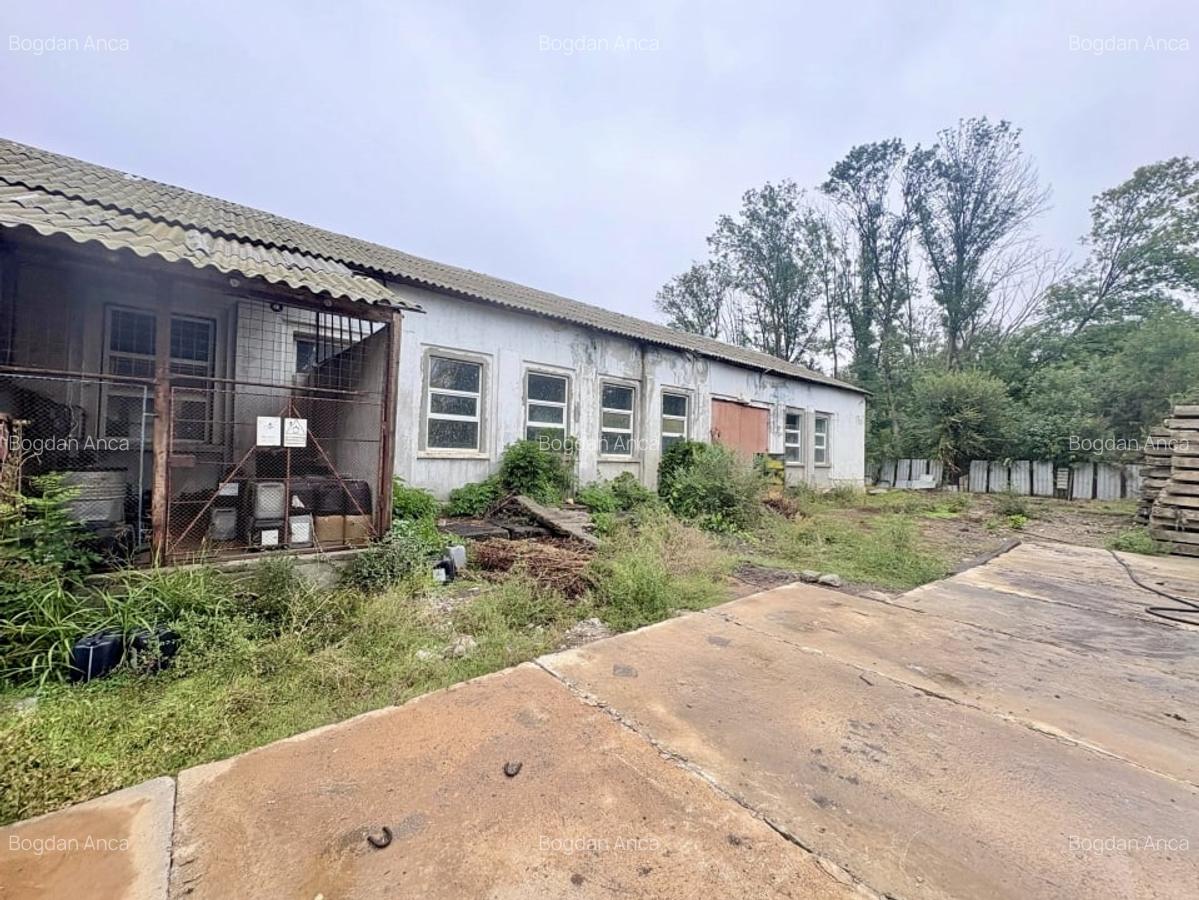 Teren in mijlocul padurii Valu lui Traian 1875 mp si cladire 450 mp hala - 2 Teren in mijlocul padurii Valu lui Traian 1875 mp si cladire 450 mp hala - 2
