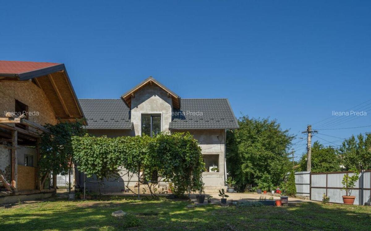 Casa de Maneciu Pamanteni, singur curte - 2