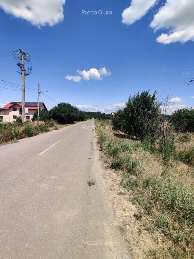 Teren, Pădurea Scrovistea - 3