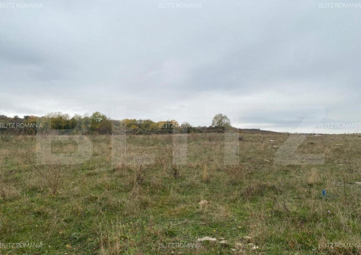 OPORTUNITATE! Teren intravilan 500 mp cu PUZ, zona CREIC, Ir - 2