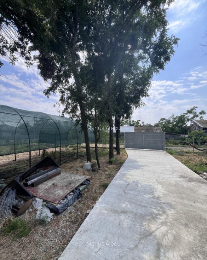 Casa de vacanta - Munteni Buzau - Jutetul Ialomita - Curte 2 - 3