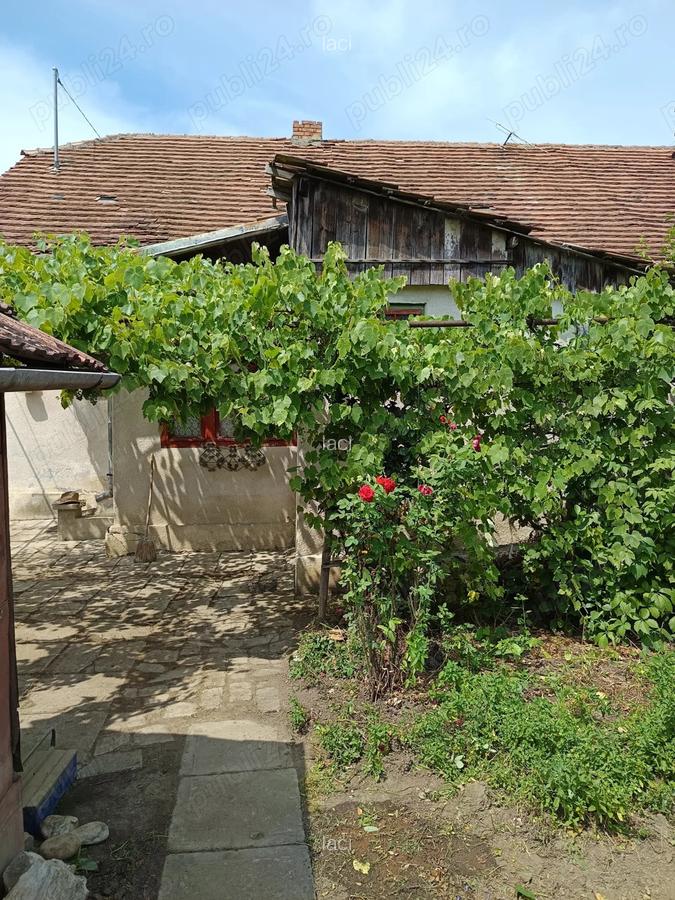 Casa de vanzare! - 5