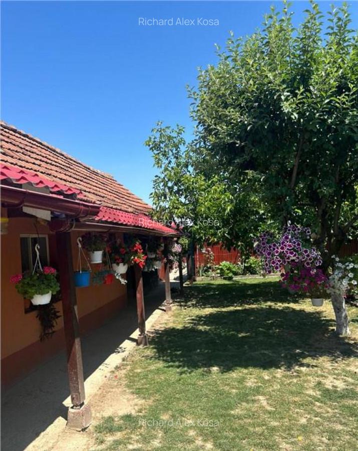 RECO Casa 3 Camere Cu Teren Generos In Felcheriu - 10