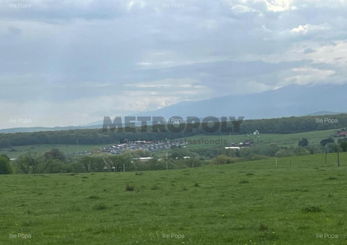 Teren intravilan 438 mp | Calea Cisnadiei Str. Zorilor - 5 Teren intravilan 438 mp | Calea Cisnadiei Str. Zorilor - 5