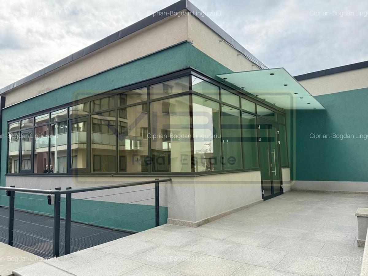 Cladire birouri / comerciala Tudor Vladimirescu-Iulius Mall - 2