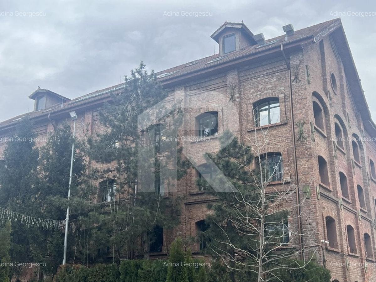 CASTEL CARO_Spatiu de birouri_Cladire emblematica - 1