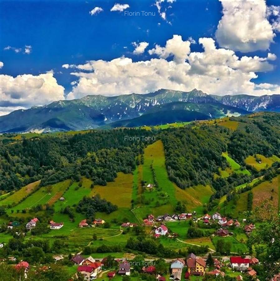Hotel/Pensiune, 500 mp în Bran - 2