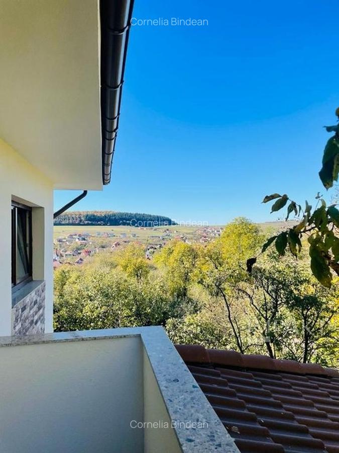 Ansamblu de 3 case la vanzare  in Chinteni! - 5
