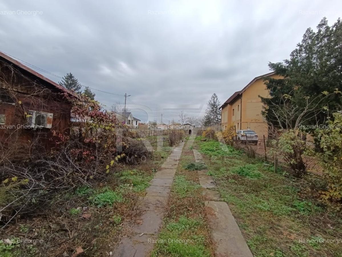 Teren central Mogosoaia 1163 mp - 2