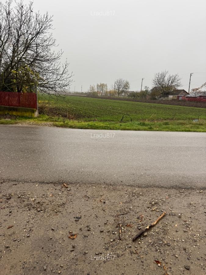 Teren 500 mp Darza Buftea - 1
