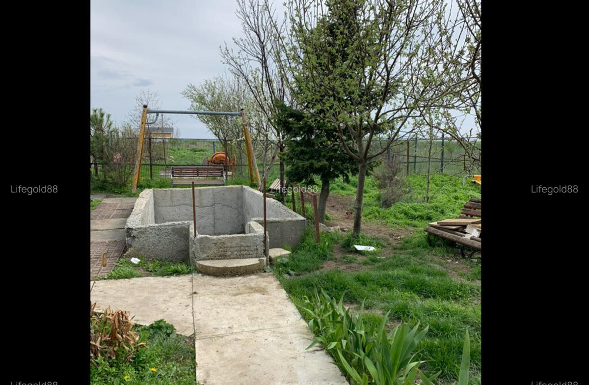 Casa aproape de padure Clinceni, Ilfov - 3