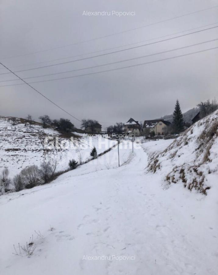 Teren 725 MP | Moieciu de Jos | Piatra Craiului | Oportunita - 2