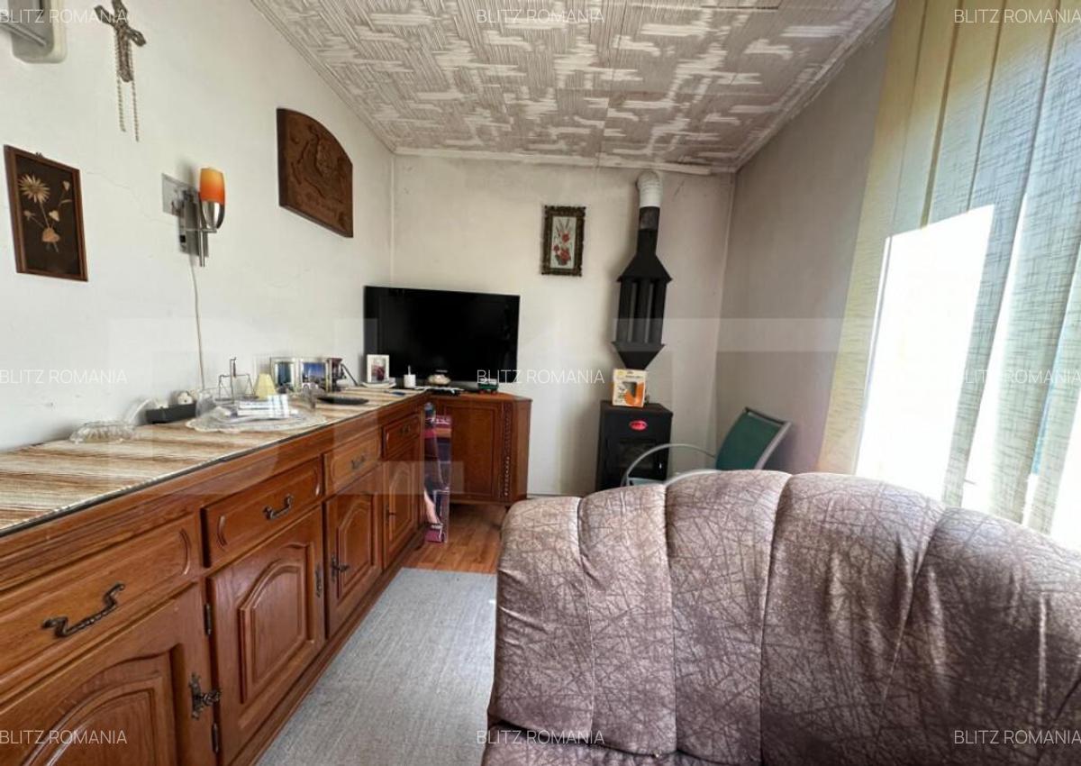 Casa saseasca de vanzare, curte, gradina, teren 3000 mp - Ji - 14