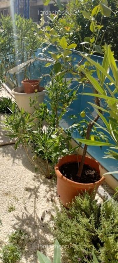 APARTAMENT CU 2 CAMERE DE INCHIRIAT - MAMAIA NORD - 14