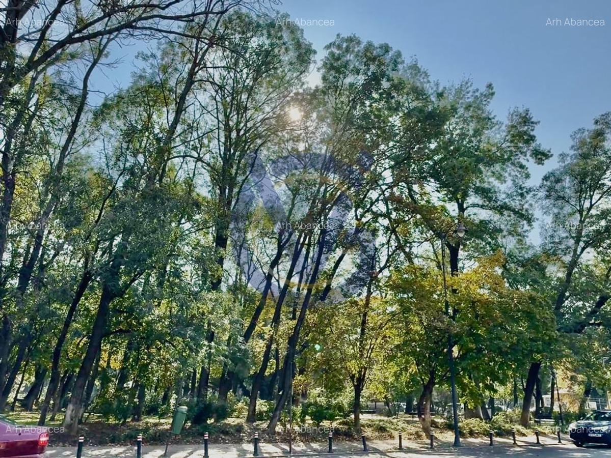 Vezi Parcul Kiseleff! Apartament spectaculos, 4 camere, 175mp - COMISION 0% - 37