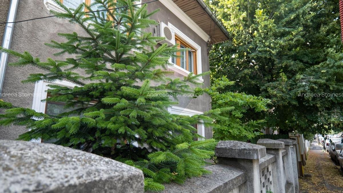 Vanzare apartament 3 camere in vila, cu garaj si curte, in Floreasca - 11