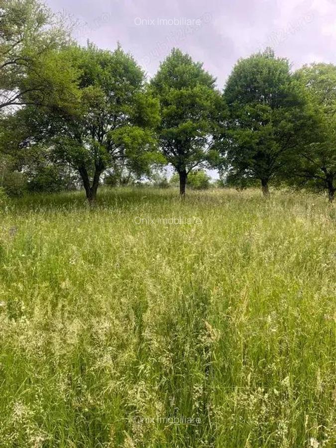 Teren intravilan 7426 mp de vanzare in Valea Doftanei utilitati la limita proprietatii - 3