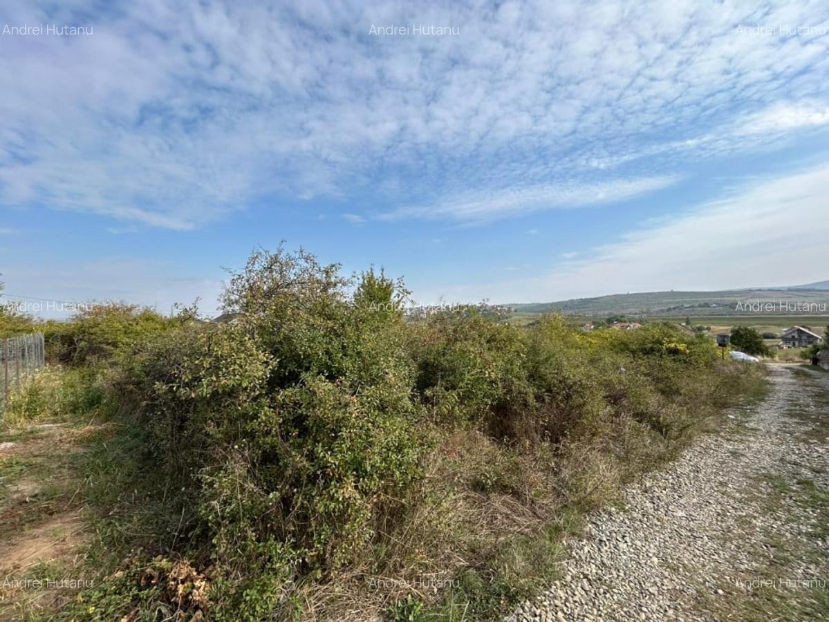 TEREN INTRAVILAN , 500 MP , LUNCA CETATUII-CARTIER CRIHAN - 2