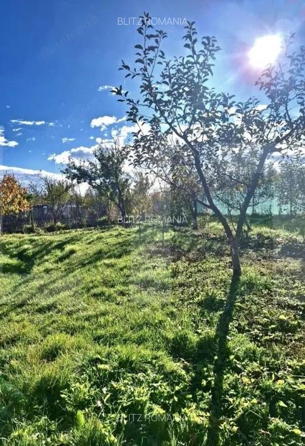 Casa batraneasca cu teren generos, in satul Manastireni lini?te ?i natura - 5 Casa batraneasca cu teren generos, in satul Manastireni lini?te ?i natura - 5