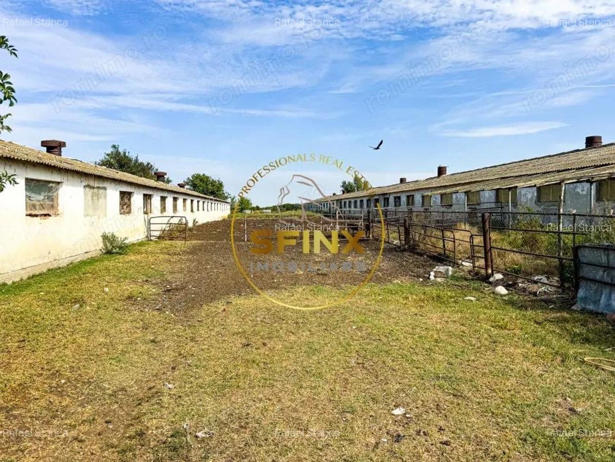 Teren intravilan cu potential de investitie 62000mp - 12