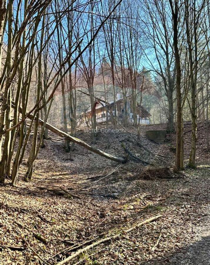 Teren de vanzare 53,723mp Codlea / Nord-Vest - 11