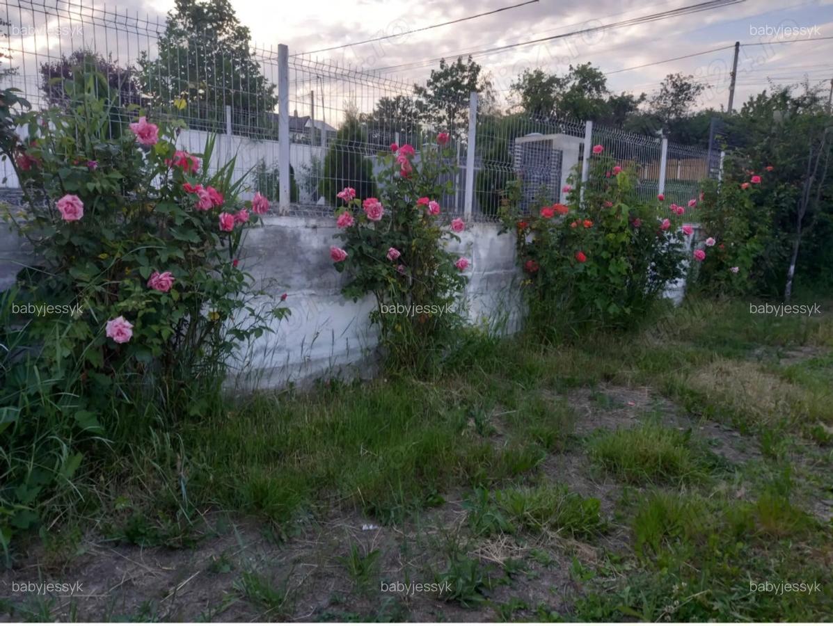 Casa Tomesti zona linistita - 3