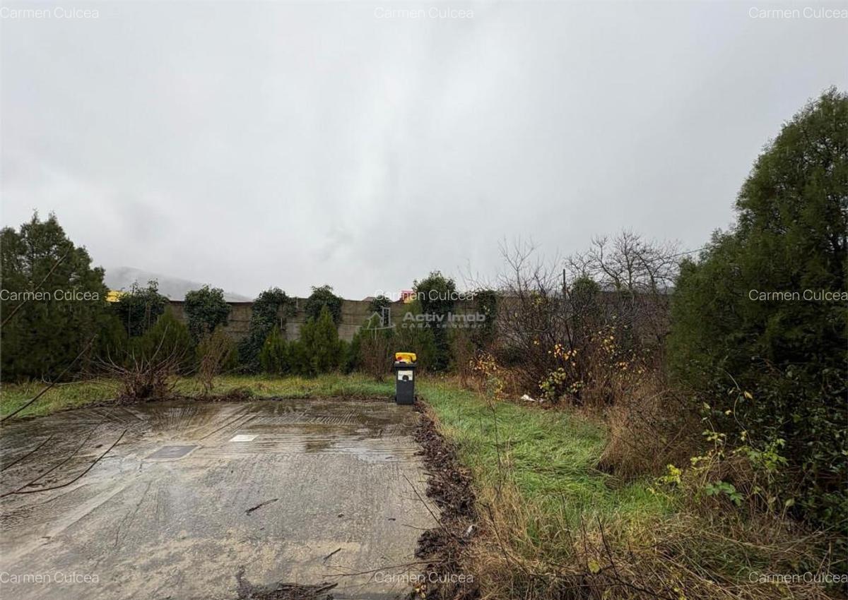 Bocsa Romana, Casa 8 Incaperi, Strada Principala. - 18