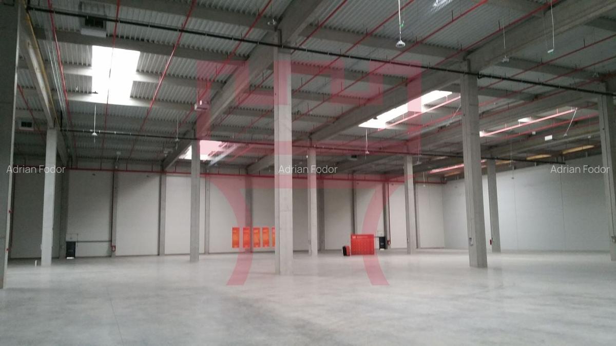 Vanzare hala noua 600mp sau 1600mp sau2200 mp birouri teren exterior - 1