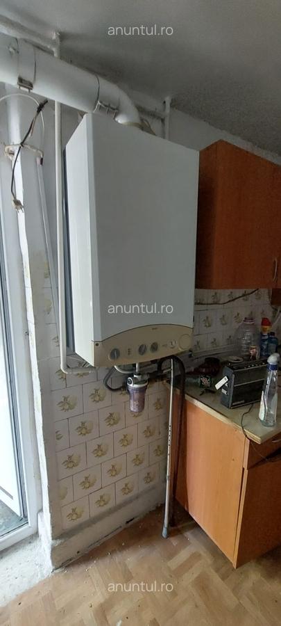 Basarabia, casa singur curte, locuit/diverse activitati - 7