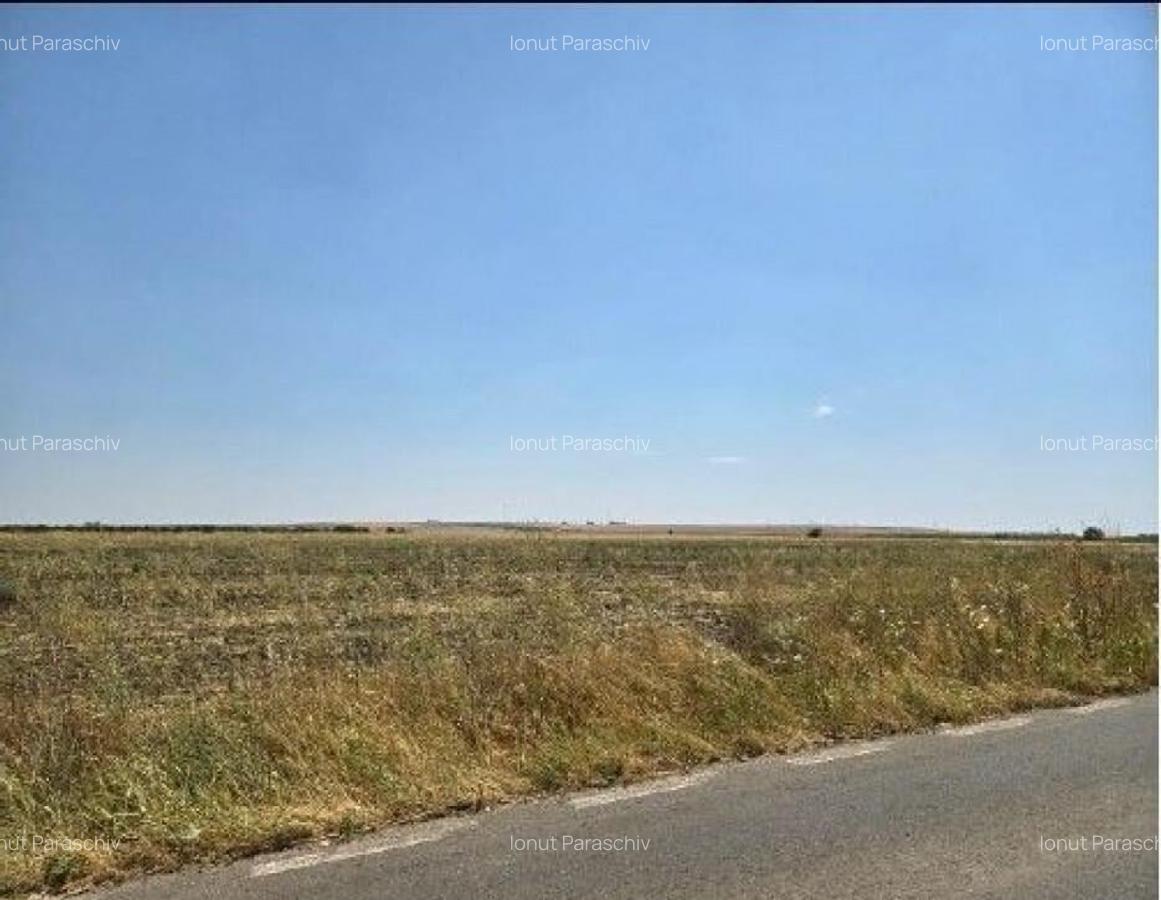 Teren extravilan Smardioasa, cota 1/6, ID: R2688427 - 10