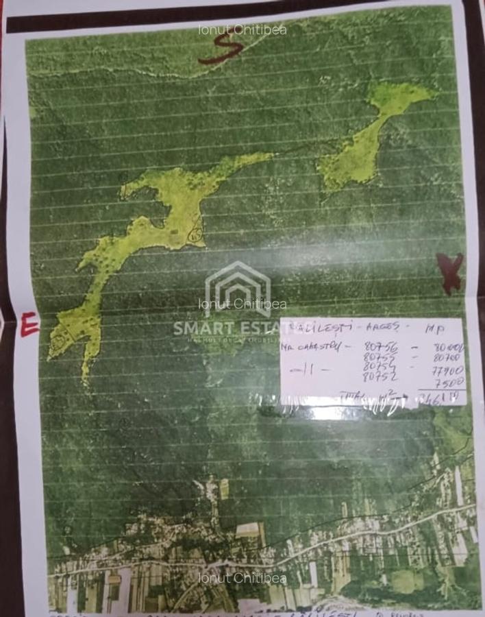 Teren 25 ha cu Izvor Sulfuros in Balilesti - Arges - Comision 0% - 1