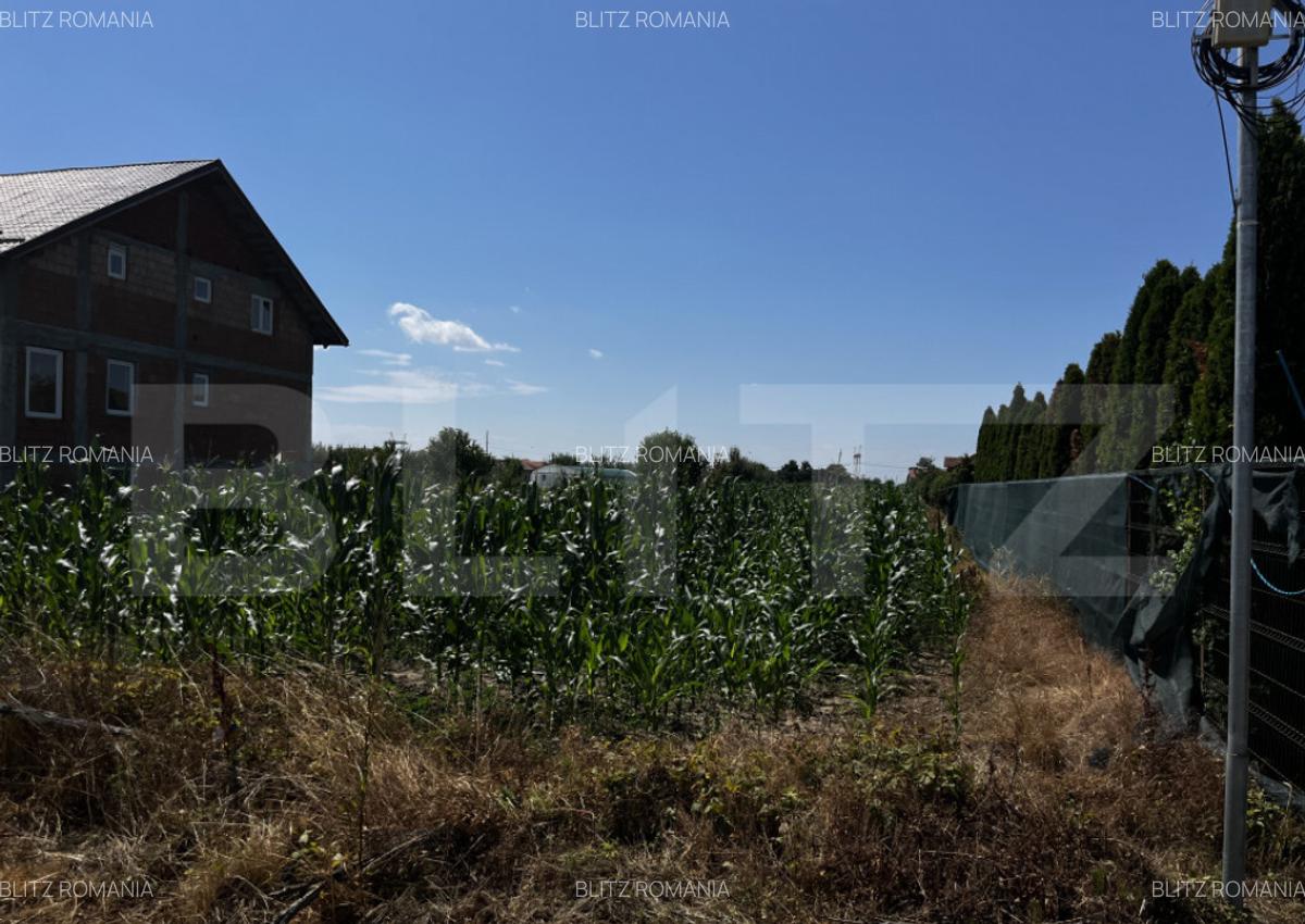 Teren extravilan de vanzare, 1267 mp, zona Draexlmaier - 3