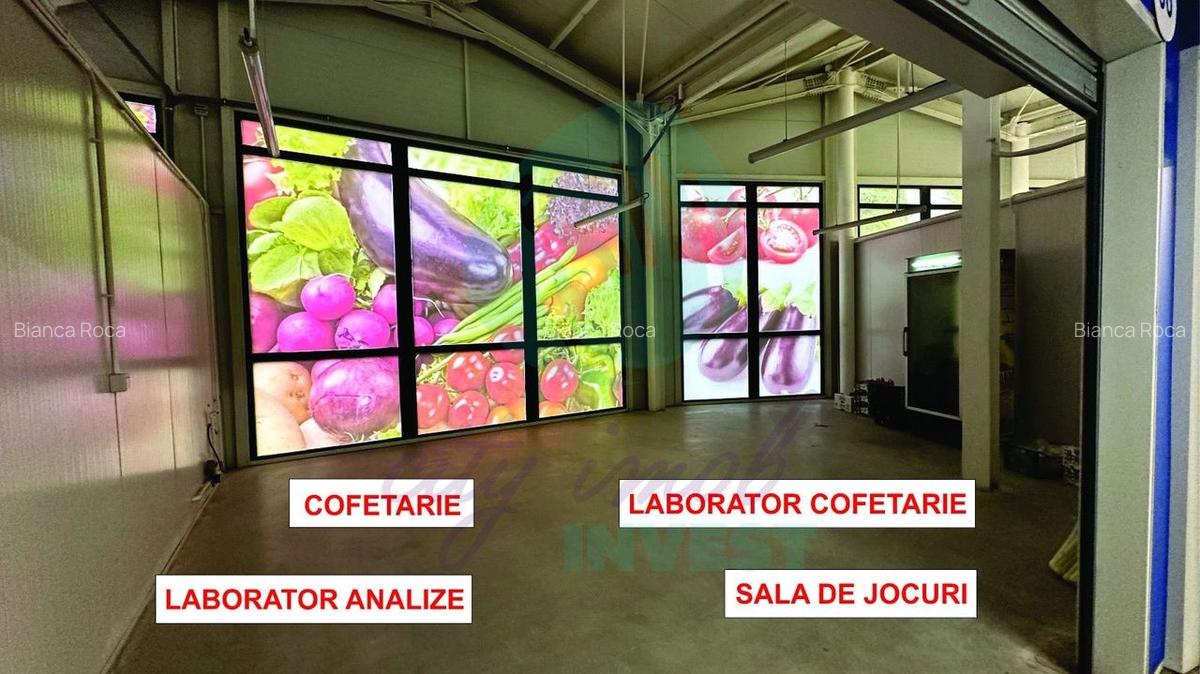Spatii comerciale de inchiriat, Piata Delfinului - 5